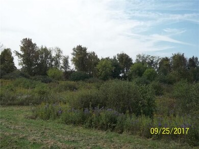 Enough trees for privacy, animals.