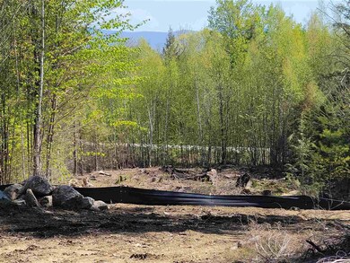 169 Turner Way unit 30, Laconia, NH 03246 - photo 3