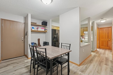 221 Grand Ave W unit 306, South Saint Paul, MN 55075 - photo 5