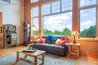 71 Crestone Cir, Florissant, CO 80816 - photo 7