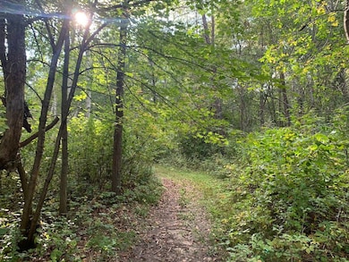 12463 30th St, Brainerd, MN 56401 - photo 5