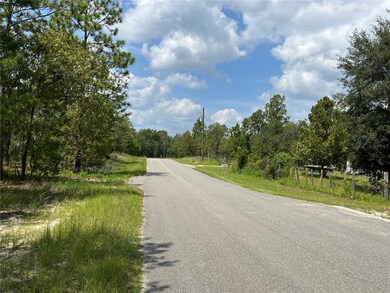 6253 Emory Ave, Keystone Heights, FL 32656 - photo 5