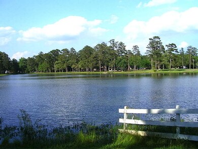 lake is within walking distance from lot