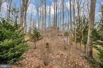 1010 Eastover Pkwy, Locust Grove, VA 22508 - photo 4