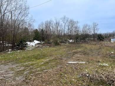 11288 Kentucky 57, Tollesboro, KY 41189 - photo 3