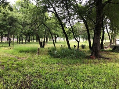 208 Lelon Ln, Springtown, TX 76082 - photo 3