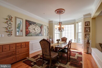 23006 Blue Flag Cir, Clarksburg, MD 20871 - photo 4