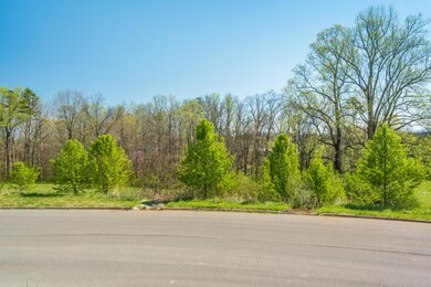 2106KingViewLoop-3
