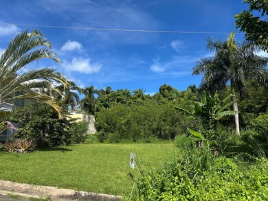 #10 Reparto Bonet unit 10, Aguada, PR 00602 - photo 3