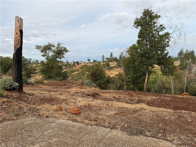 2150 2150 De Mille Rd, Paradise, CA 95969 - photo 4