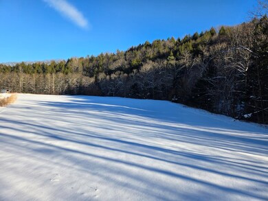 00 Chateauguay Rd, Barnard, VT 05031 - photo 7