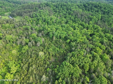 0 Thorn Grove Pike unit RTC2865121, Strawberry Plains, TN 37871 - photo 4