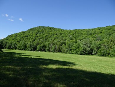 0 Route 103 unit 4999744, Chester, VT 05143 - photo 4