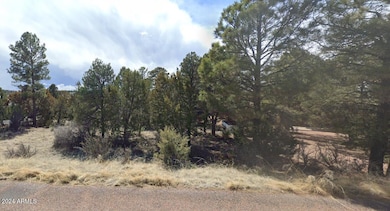 2223 Fairway Dr unit 16, Overgaard, AZ 85933 - photo 3