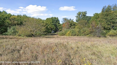 V/L Mill St, Maple Rapids, MI 48853 - photo 4