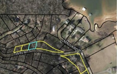 00 Twin Mountain Rd, Hiawassee, GA 30546 - photo 4