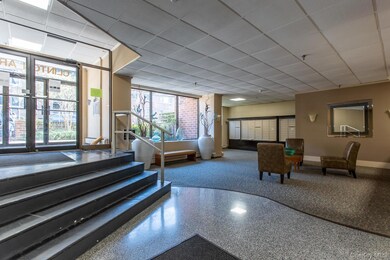 100 Clinton Ave unit 1V, Mineola, NY 11501 - photo 7