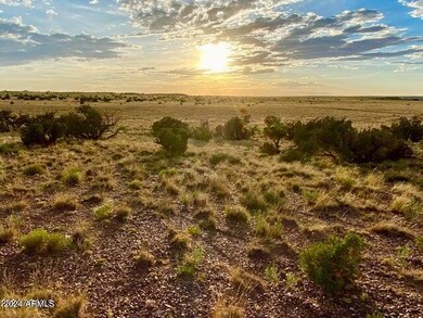 5467 Dusty Rd, Snowflake, AZ 85937 - photo 3