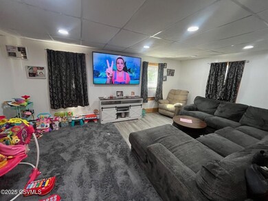 1101 Pleasant View St, Trevorton, PA 17881 - photo 4