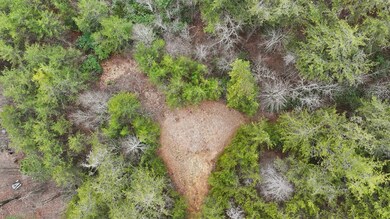 7.18 Ac McJunkin Rd, Turtletown, TN 37391 - photo 4