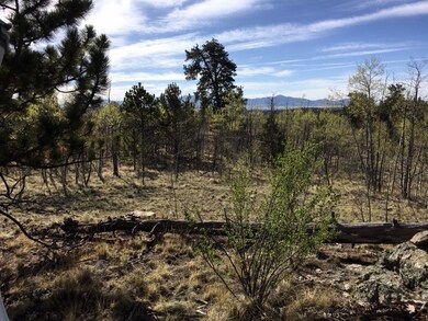 82 Rawhide Ct, Como, CO 80432 - photo 7