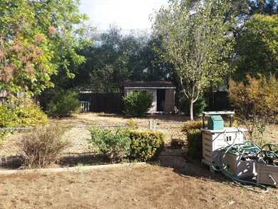Back Yard 2