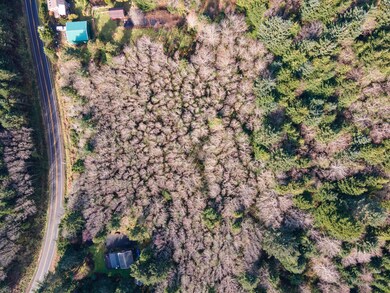 V/L Cape Meares Loop Rd, Oceanside, OR 97141 - photo 2