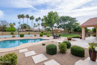 Amazing backyard