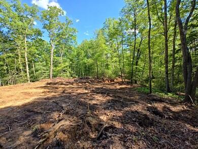 House site