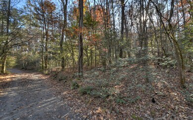 Additional View