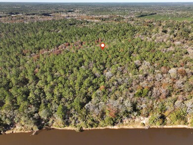 Old_Hwy_24_W_Lot_32-7