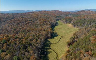 2453 Flat Branch Rd, Ellijay, GA 30540 - photo 5