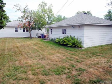 Backyard.