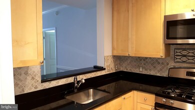 The Eclipse unit 918W, Arlington, VA 22202 - photo 7