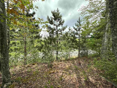 Lot 11 Tuscan Ridge Rd, Davis, WV 26260 - photo 4