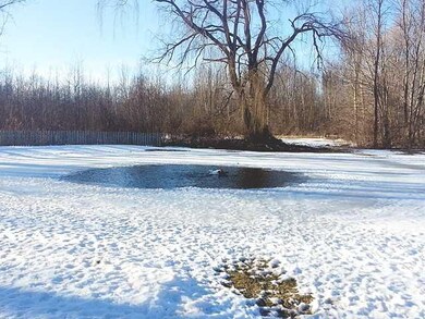 Other pond