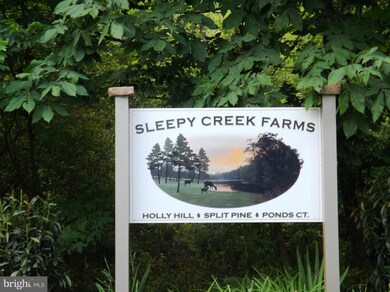 348 Ponds Ct, Berkeley Springs, WV 25411 - photo 3