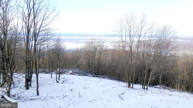 Lot 256 S Branch Mountain Rd, Moorefield, WV 26836 - photo 5