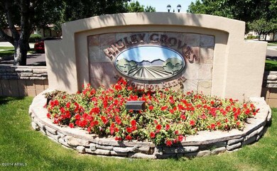 Higley Groves Entrance