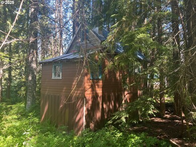 88792 E Government Camp Loop, Government Camp, OR 97028 - photo 6