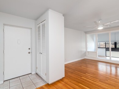 38 Juniper St unit 106, Brookline, MA 02445 - photo 3