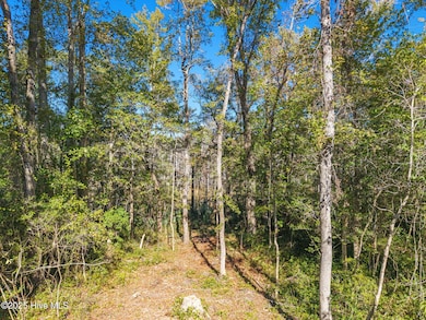 5-web-or-mls-CamMediaLLC.com (5 of 17)