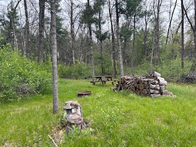 6986 W Baldwin Rd, Baldwin, MI 49304 - photo 4