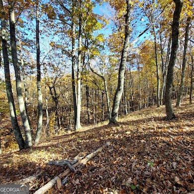 0 Mckibben Rd unit 10623982, Buchanan, GA 30113 - photo 6