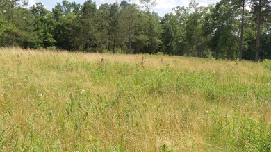 172 Dykes Rd, Soso, MS 39480 - photo 5