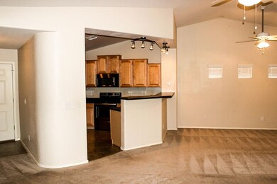 IMG_2325 (1)