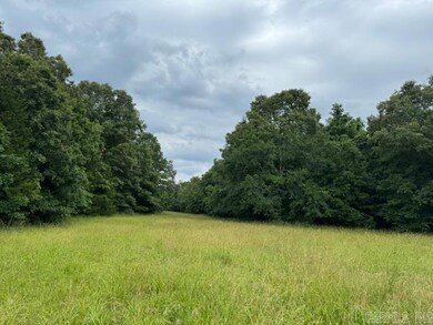 TBD Saienni Rd, Pocahontas, AR 72455 - photo 3