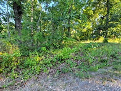 0 Ripley Ln, Bella Vista, AR 72715 - photo 4