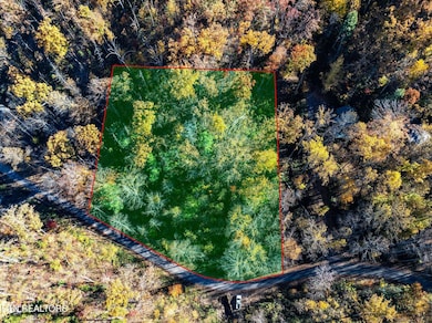 Deep-Hollow-Rd-Gatlinburg-TN-1