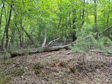 LT595 Jonquil Ln, Ellijay, GA 30540 - photo 5